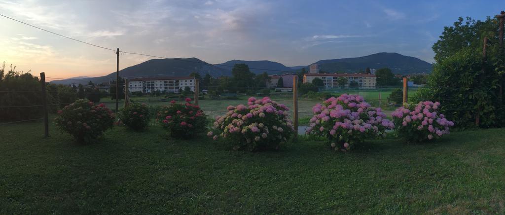 Apartment Nova Gorica - Nocitve Falco Exterior photo